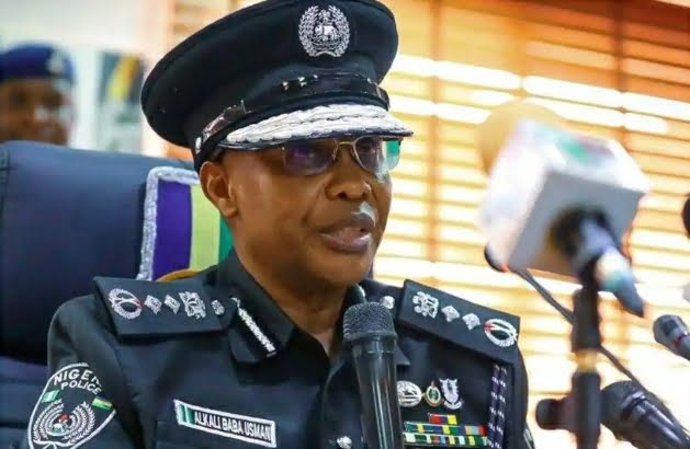 Heavy Security Deployment In Anambra Not To Scare But Provide Security For Voters – IGP