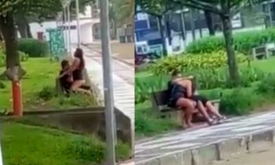 Couple caught having knacking on public bench in broad daylight (video)