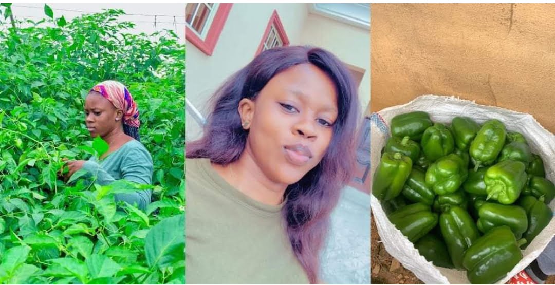 Pretty lady shows off what she harvested from her farm, photos sitr reactions