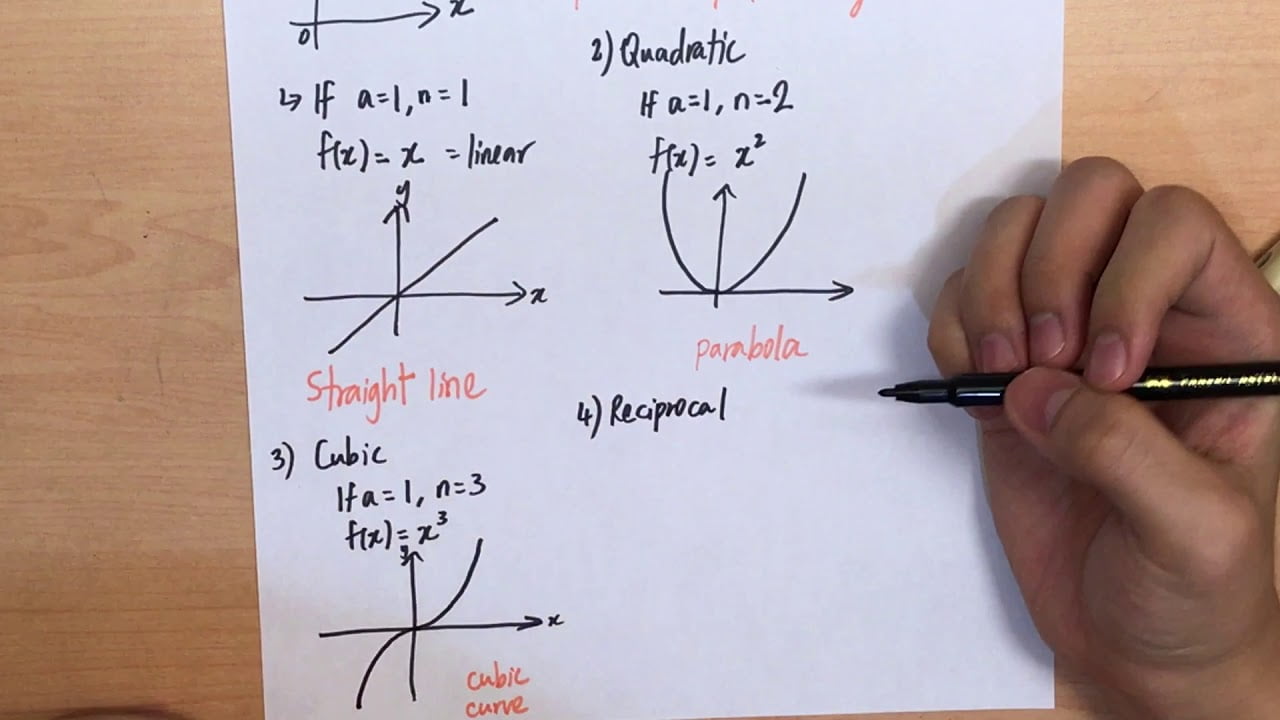 Types Of Graph Curves And Their Names Wothappen 0241