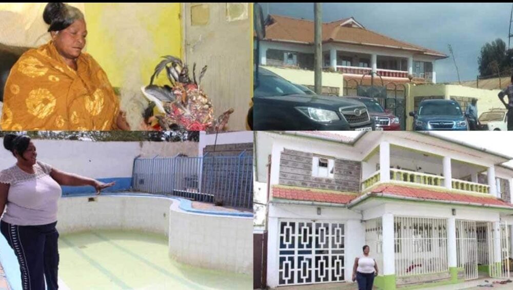 Female native doctor who makes N1.8m daily shows off her N146m luxury house