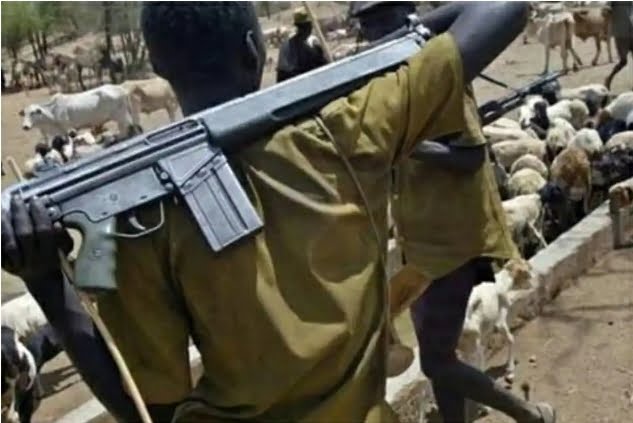A 2-year-old girl was taken to the hospital after being shot in the private part of her body by Fulani herders in Benue.
