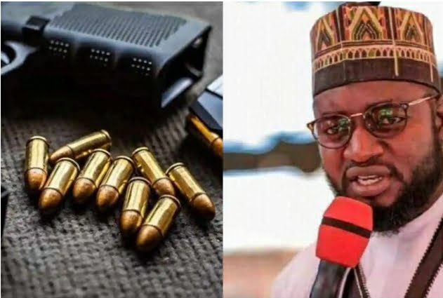 "If Arms-Bearing Is Legalized In Nigeria, Killings Will End" — House of Representatives Member