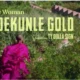 Adekunle Gold – One Woman ft. TY Dolla $ign MP3 Download and video