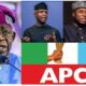 BREAKING: APC Governors Remove South East Aspirants From Primary