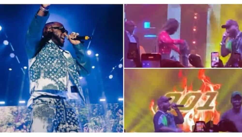 “Give Am N2million”: Moment Davido Brought Female Fan on Stage, Pulled His Shoes for Her and Gave Her Money