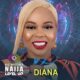 Diana BBNaija Biography, Wiki, Instagram, Age, Real Name, Boyfriend, Tribe, State, Net Worth.