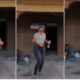 Fine Yoruba Girl”: Young Lady Dances in Front of Her House Without Minding Background, Video Stirs Reaction