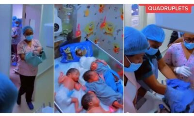 They Look so Adorable": Mum Delivers 4 Babies after 7 Years of Waiting, Video of Quadruplets Melts Hearts