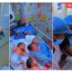They Look so Adorable": Mum Delivers 4 Babies after 7 Years of Waiting, Video of Quadruplets Melts Hearts