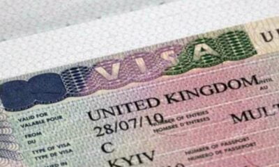 How To Apply For UK Student Visa, And Ensure You Get It
