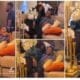 2 Legends”: Sweet Video of Mercy Johnson Sitting in Patience Ozokwo’s Lap, Billing Her Like a Daughter Trends