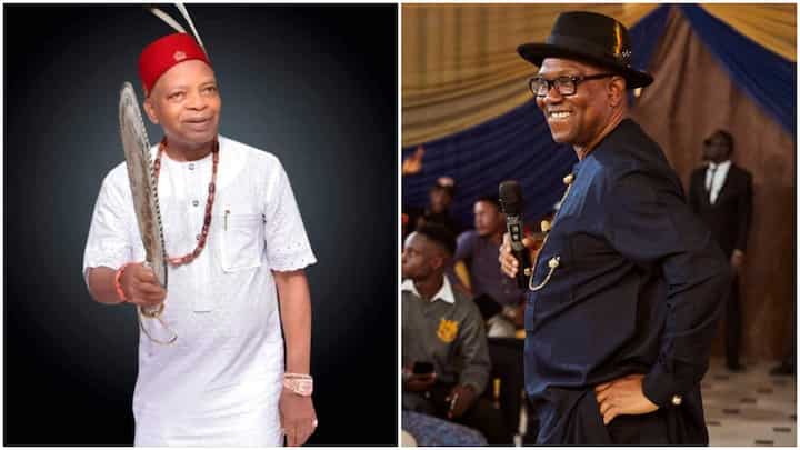 2023 Presidency: Peter Obi Finally Reacts to Arthur Eze's Statement, Sends Strong Message to His Supporters