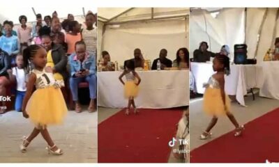 She Understood the Assignment": Little Girl Catwalks on Runway Like a Pro, People Stare in Sweet Video
