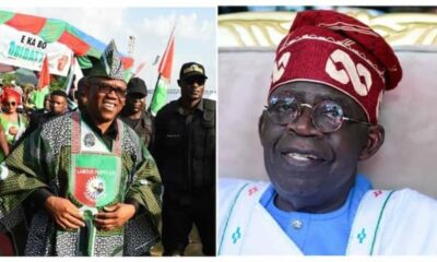 2023 Presidency: Why I Dumped Tinubu for Peter Obi, APC Chieftain Reveals as He Defects to Labour Party