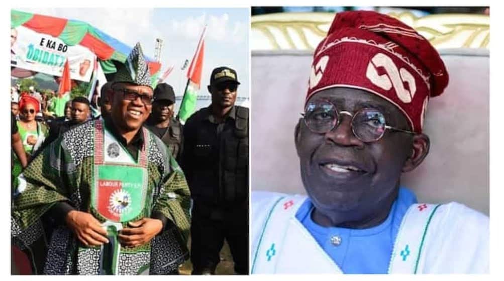 2023 Presidency Why I Dumped Tinubu for Peter Obi APC Chieftain Reveals as He Defects to Labour Party