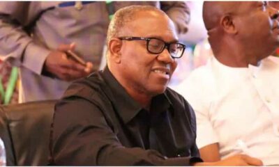 Peter Obi To Resume New Leadership Role As INEC Releases Final List of House of Reps Members-Elect