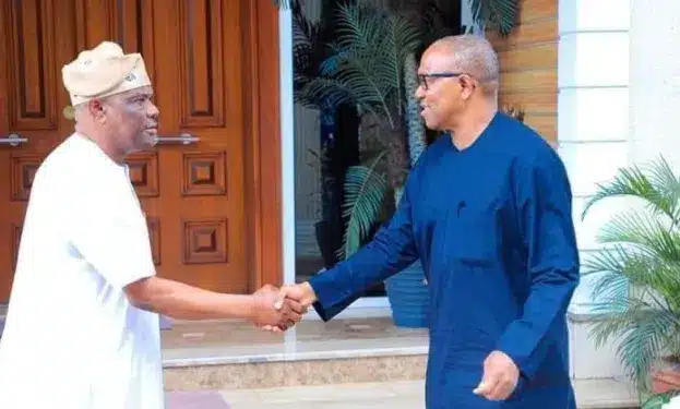 Peter Obi Meets Wikepng 1 Wothappen