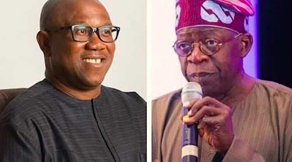 Tempers flare as Peter Obi issues a stern warning to President Bola Tinubu in the tribunal