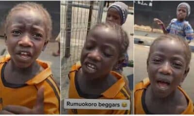 A smart little Nigerian girl has gone viral on social media after begging a man for money on the road In a video shared on TikTok, the little girl was spotted running after a man and appealing for money using slangs Social media users have reacted massively to the video with many applauding the girl over her smartness A little girl has earned accolades from netizens after showing off her smartness on the road. The child beggar spotted a man whom she felt was rich enough to bless her with cash, and she decided to approach him. Little girl begs with slangs Little girl begs with slangs Photo Credit: @mr_iyfe Source: TikTok She rushed after him and used slangs to hype him and appeal for funds from him. The young man who was shocked over her perfect use of slangs brought out his phone to record the moment. "Senior man change am for your smallie na. Abeg. Your face show your shoe shine", she pleaded. PAY ATTENTION: Сheck out news that is picked exactly for YOU ➡️ find the “Recommended for you” block on the home page and enjoy! Social media reactions @gideonpanda1 said: "Abeg make we contribute money take carry this girl go hyping school." @patninnian stated: "These children eeh, na so one tell me say aunty God use two days create you,see nose, see skin colour, see your fine wig. Omo baby girl finish." @potepitakwa26 reacted: "This same girl once gave me money when I told I I don't have money and am hungry, then she gave me 100 Naira so I gave her all the money with me." @iykeumeh8 commented: "Modeling agency should rescue him from the street the boy have a perfect looks with good vibe." @ekekaycee reacted: "I was feeling her vibes, Immediately I heard 5 naira or 10naira I became emotional." @ejeomdglian added: "This is what our leaders has turn our children into, I feel like crying because she has been deprive of her future, God help us all." @kosiso429 commented: "I swear they sabi hype naso one girl hype me one day say aunty wey sabi twerk, aunty wey go born triplet come still get good heart she really finish me." Watch the video below: Lady turns street beggar in UK Meanwhile, Legit.ng previously reported that a Nigerian lady identified as Adetemi has gone on TikTok to release a lengthy video to document her struggle to survive in the UK. Making a video of herself sitting in a public place, she said that not all the people abroad are living a good life like many believe. Adetemi, in the Yoruba language, said that she is out to beg, hoping that she would see someone to offer her a job that she can do. In her words: "I'm trying to beg for money to survive. I have not been able to get a job up till now.... Where I am begging now, it is possible I see somebody that could link me up with a job... I've submitted CVs already to the appropriate places...."