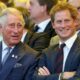 Prince Harry and King Charles appear