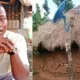 "Waste Of Money": Man Upgrades His Mud House, Installs Solar Panels and DSTV Satellite Dish, Photo Surfaces