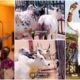 “It Still Won’t Be Enough”: Fans React as Kwam 1 Gifts Pasuma 6 Cows for His Mother’s Burial, Video Trends