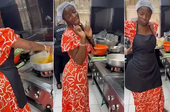 Foods Plenty for Nigeria o": Full List of Assorted Meals Hilda Baci Cooked for Over 100 Hours Exposed