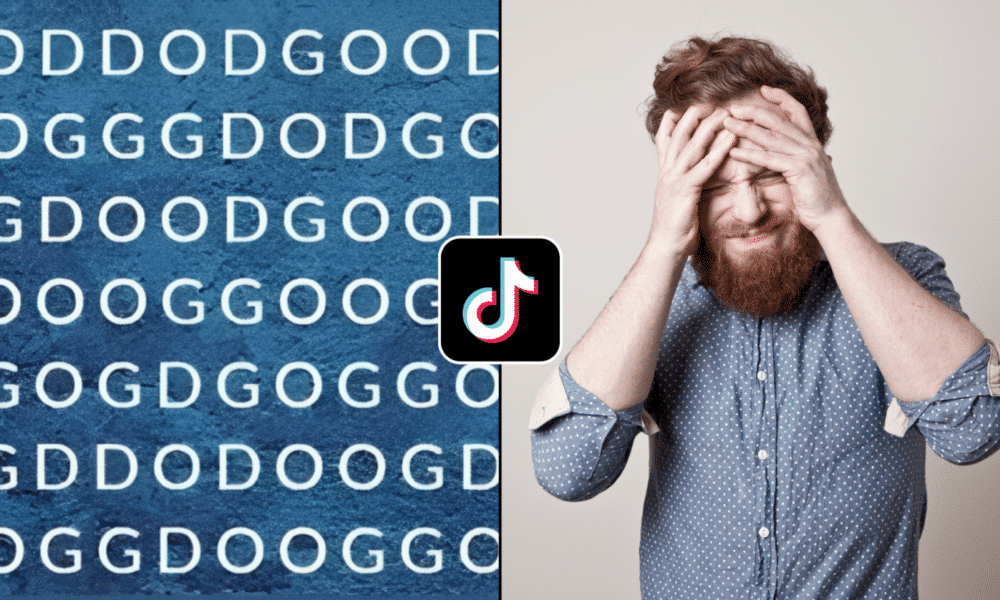 How to answer TikTok’s find the word ‘dog’