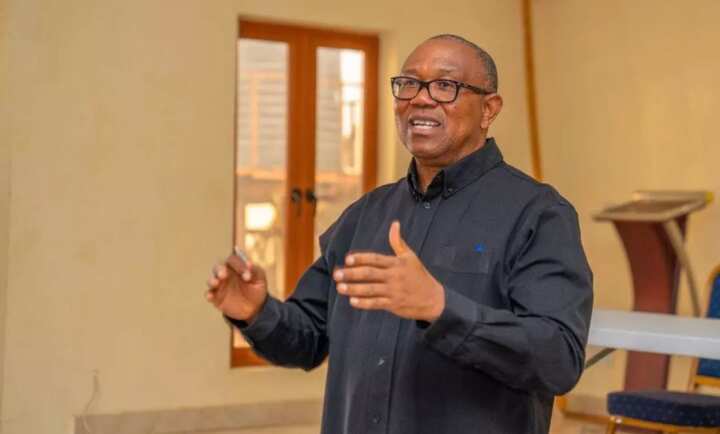 “I Must Be President of This Country”, Peter Obi Declares