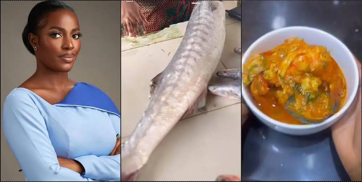 "Someone salary": See the soup Hilda Baci cooked with N60k fish.