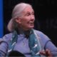Jane Goodall: Revolutionizing our Understanding of Chimpanzees and Inspiring Environmental Change